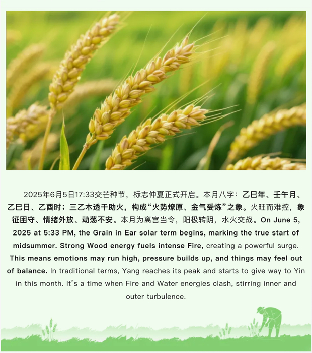 微信图片_2025-06-05_155446_947.jpg